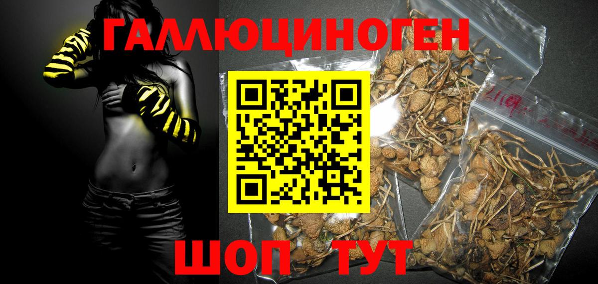 Галлюциногенные грибы MAGIC MUSHROOMS  Галлюциногенные грибы Cubensis  Кинешма  наркота  Вход с VPN 